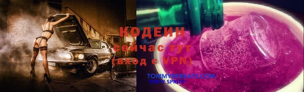 ГАЛЛЮЦИНОГЕННЫЕ ГРИБЫ Новозыбков