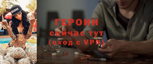 сатива Новокубанск
