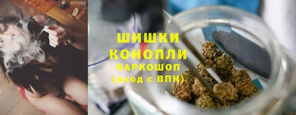 ГАЛЛЮЦИНОГЕННЫЕ ГРИБЫ Новозыбков