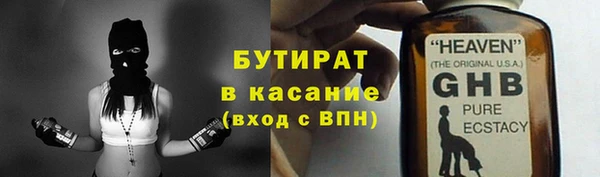 сатива Новокубанск