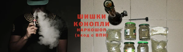 сатива Новокубанск