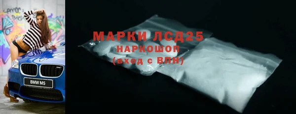сатива Новокубанск