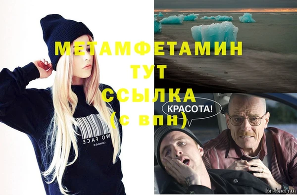 сатива Новокубанск