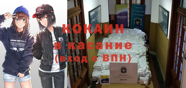 сатива Новокубанск