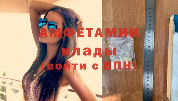 сатива Новокубанск