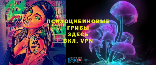PSILOCYBIN Новодвинск