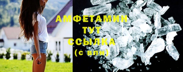 ГАЛЛЮЦИНОГЕННЫЕ ГРИБЫ Новозыбков