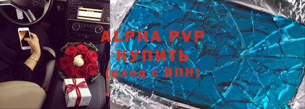 ГАЛЛЮЦИНОГЕННЫЕ ГРИБЫ Новозыбков