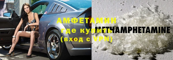 сатива Новокубанск