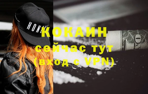 ГАЛЛЮЦИНОГЕННЫЕ ГРИБЫ Новозыбков
