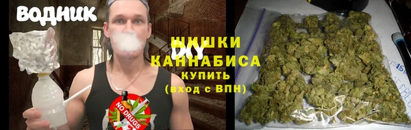 PSILOCYBIN Новодвинск