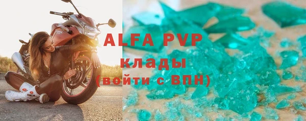 ГАЛЛЮЦИНОГЕННЫЕ ГРИБЫ Новозыбков