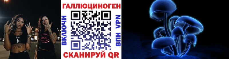 Галлюциногенные грибы Psilocybine cubensis  Купить  Сольвычегодск 